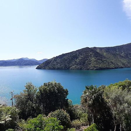 A Sea View B&B Picton Eksteriør bilde