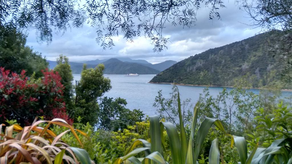 A Sea View B&B Picton Rom bilde
